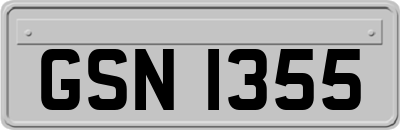 GSN1355