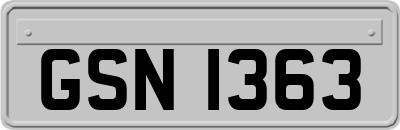GSN1363