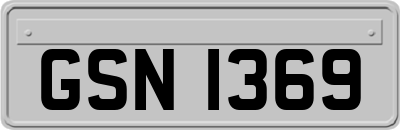 GSN1369