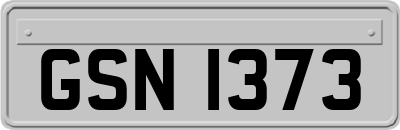 GSN1373