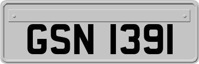 GSN1391