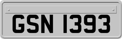 GSN1393