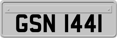 GSN1441