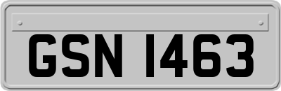 GSN1463