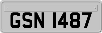 GSN1487