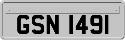 GSN1491