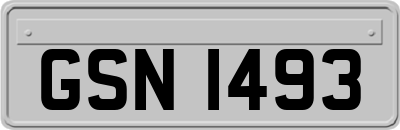 GSN1493