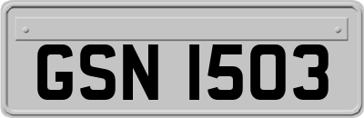 GSN1503