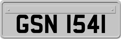 GSN1541