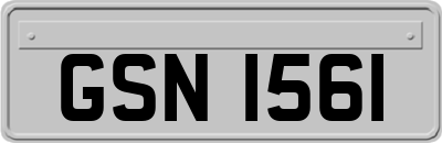 GSN1561