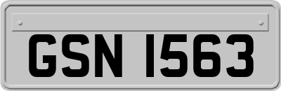 GSN1563