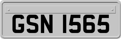 GSN1565
