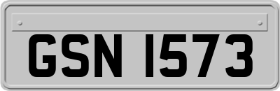 GSN1573