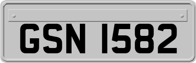 GSN1582