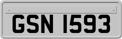 GSN1593