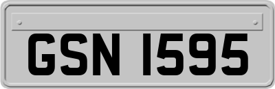 GSN1595