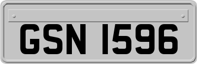 GSN1596