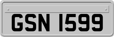 GSN1599