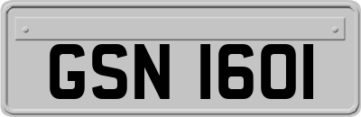 GSN1601