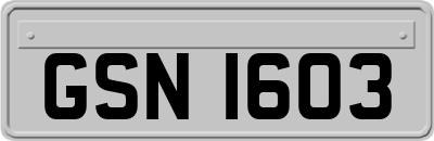 GSN1603
