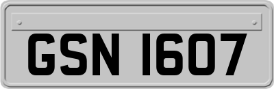 GSN1607