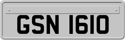 GSN1610