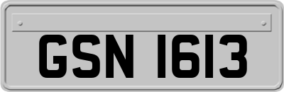 GSN1613