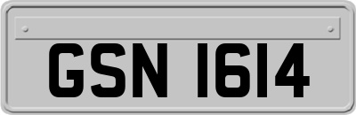 GSN1614
