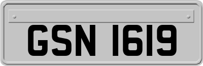 GSN1619
