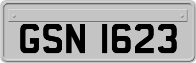 GSN1623
