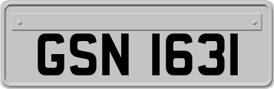 GSN1631