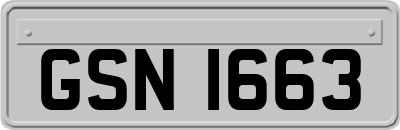 GSN1663