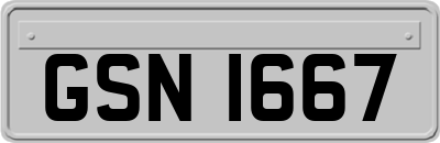GSN1667