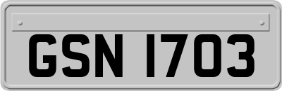 GSN1703