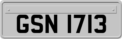 GSN1713