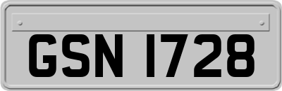 GSN1728