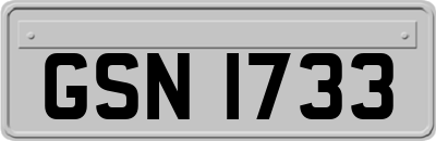 GSN1733