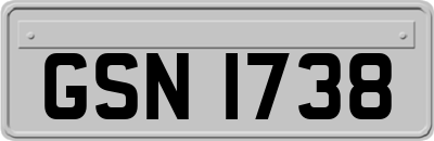 GSN1738