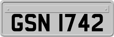 GSN1742
