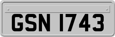 GSN1743
