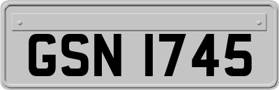 GSN1745