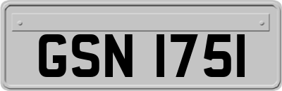 GSN1751