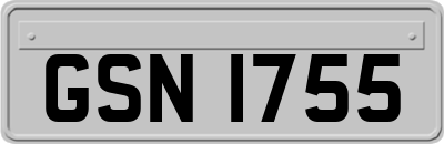 GSN1755