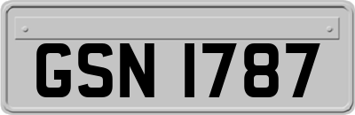 GSN1787