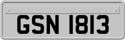 GSN1813