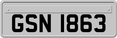GSN1863