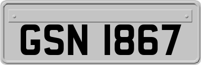 GSN1867
