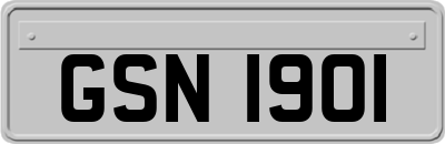 GSN1901