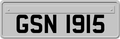 GSN1915