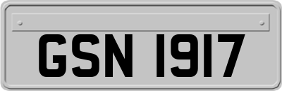 GSN1917